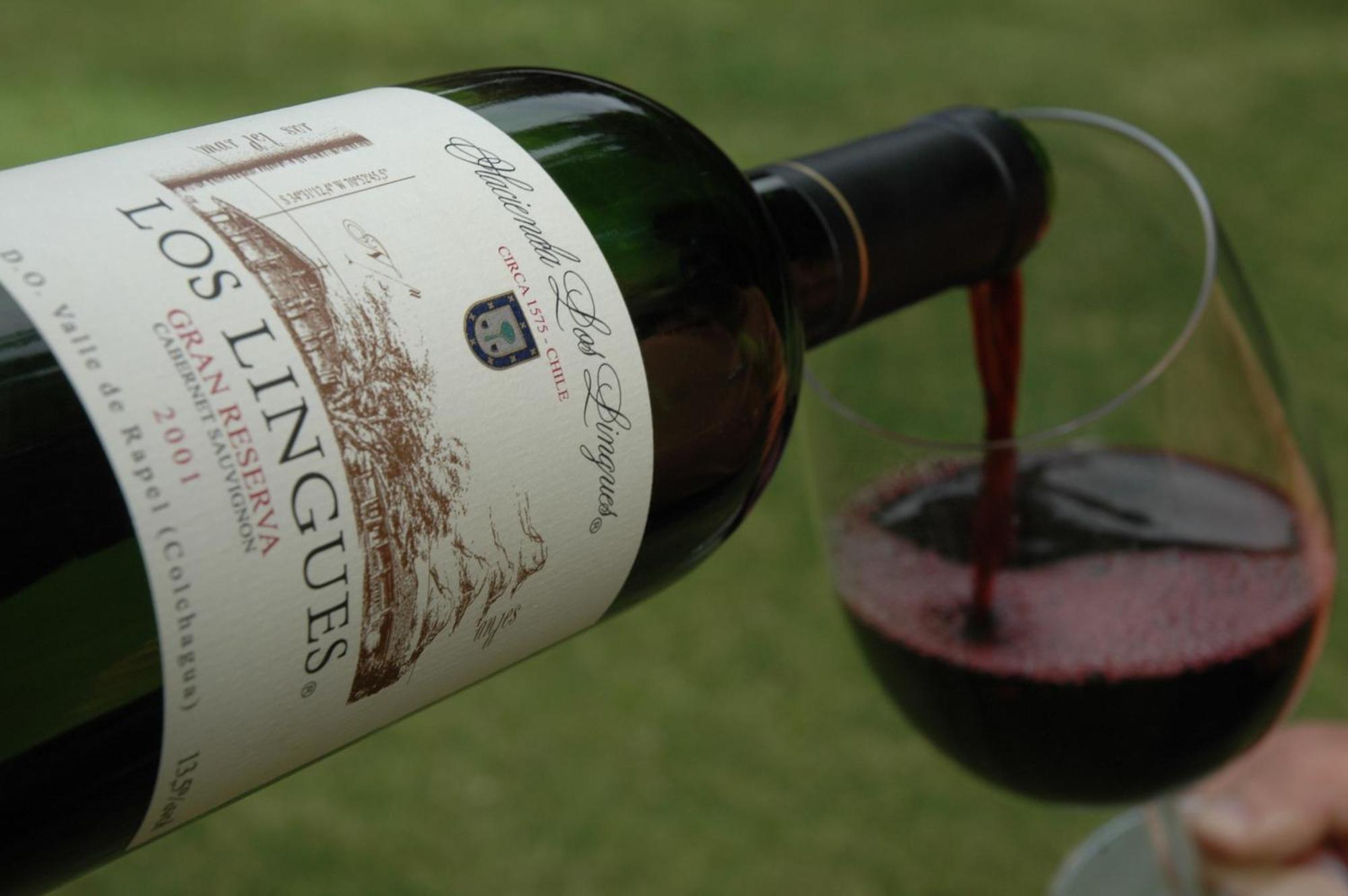 Hacienda Los Lingues Chile Valle De Colchagua Zewnętrze zdjęcie