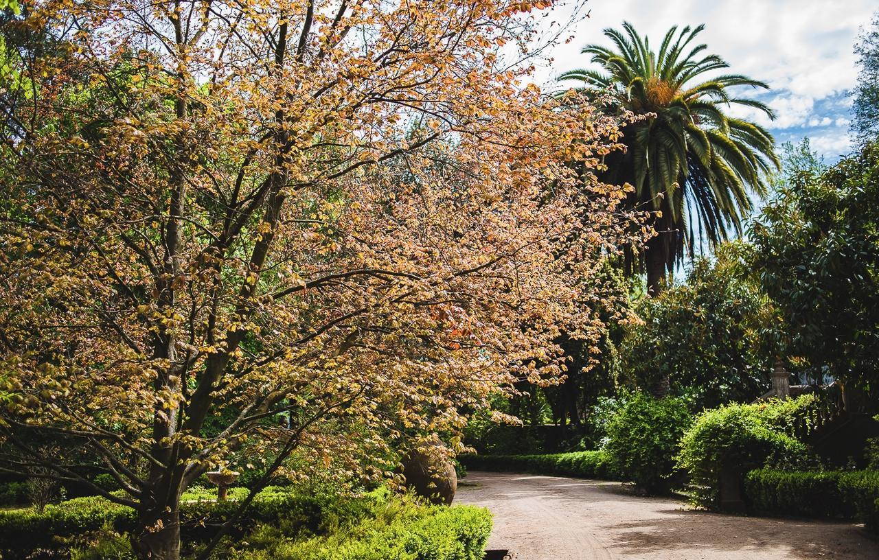 Hacienda Los Lingues Chile Valle De Colchagua Zewnętrze zdjęcie